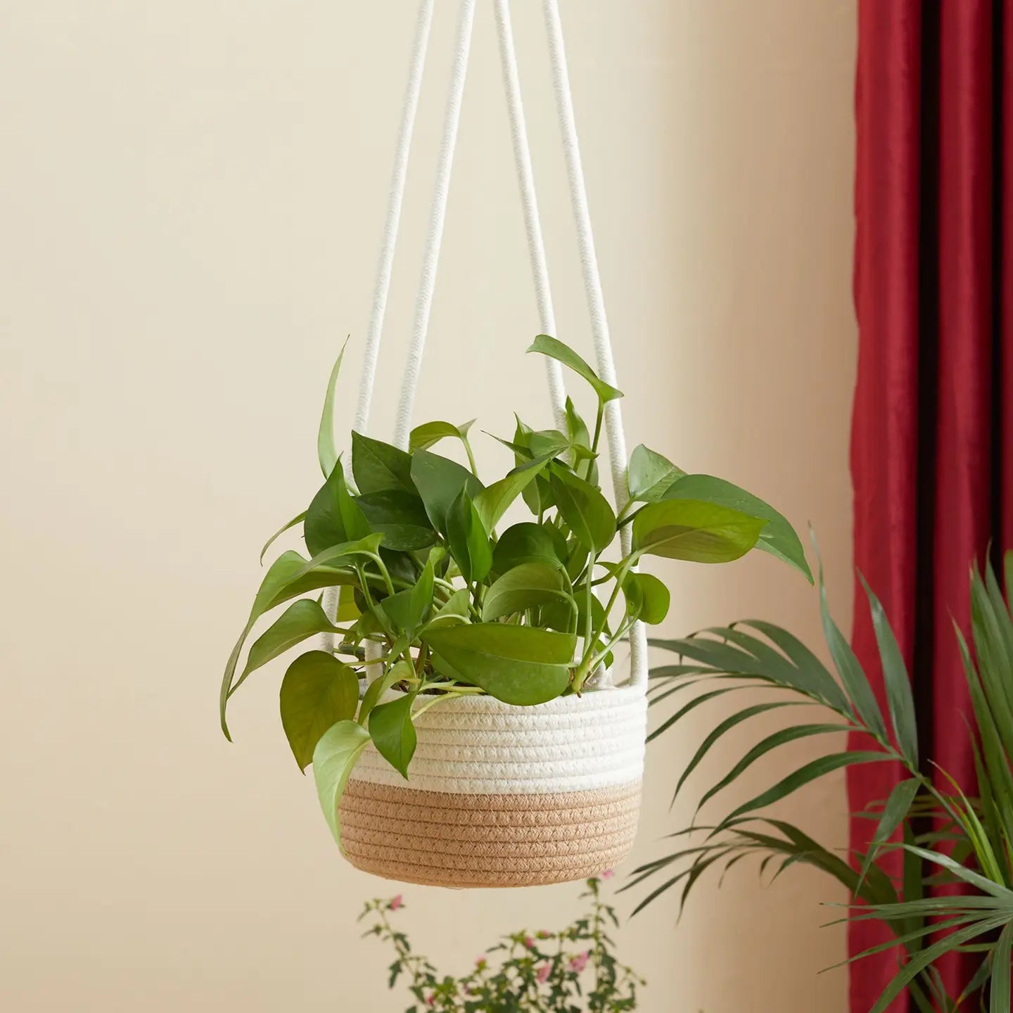 Hanging Planter Basket Woven Cotton Rope Plant Hangers