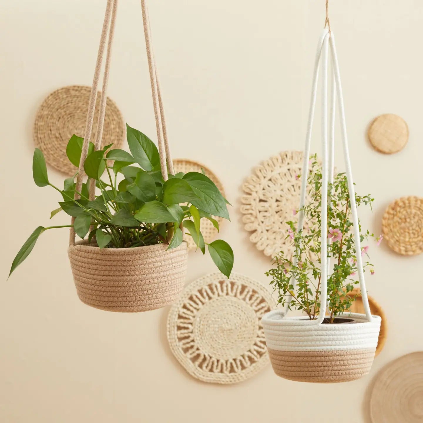 Hanging Planter Basket Woven Cotton Rope Plant Hangers