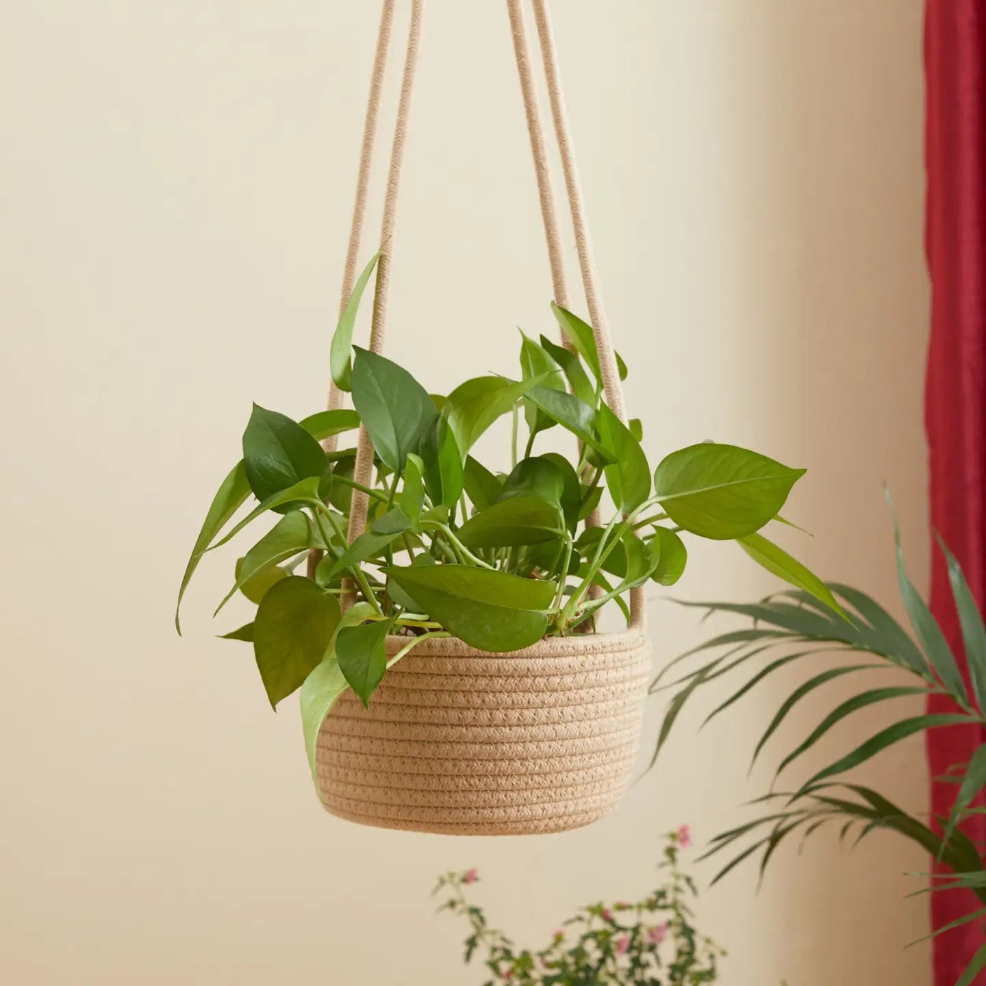 Hanging Planter Basket Woven Cotton Rope Plant Hangers