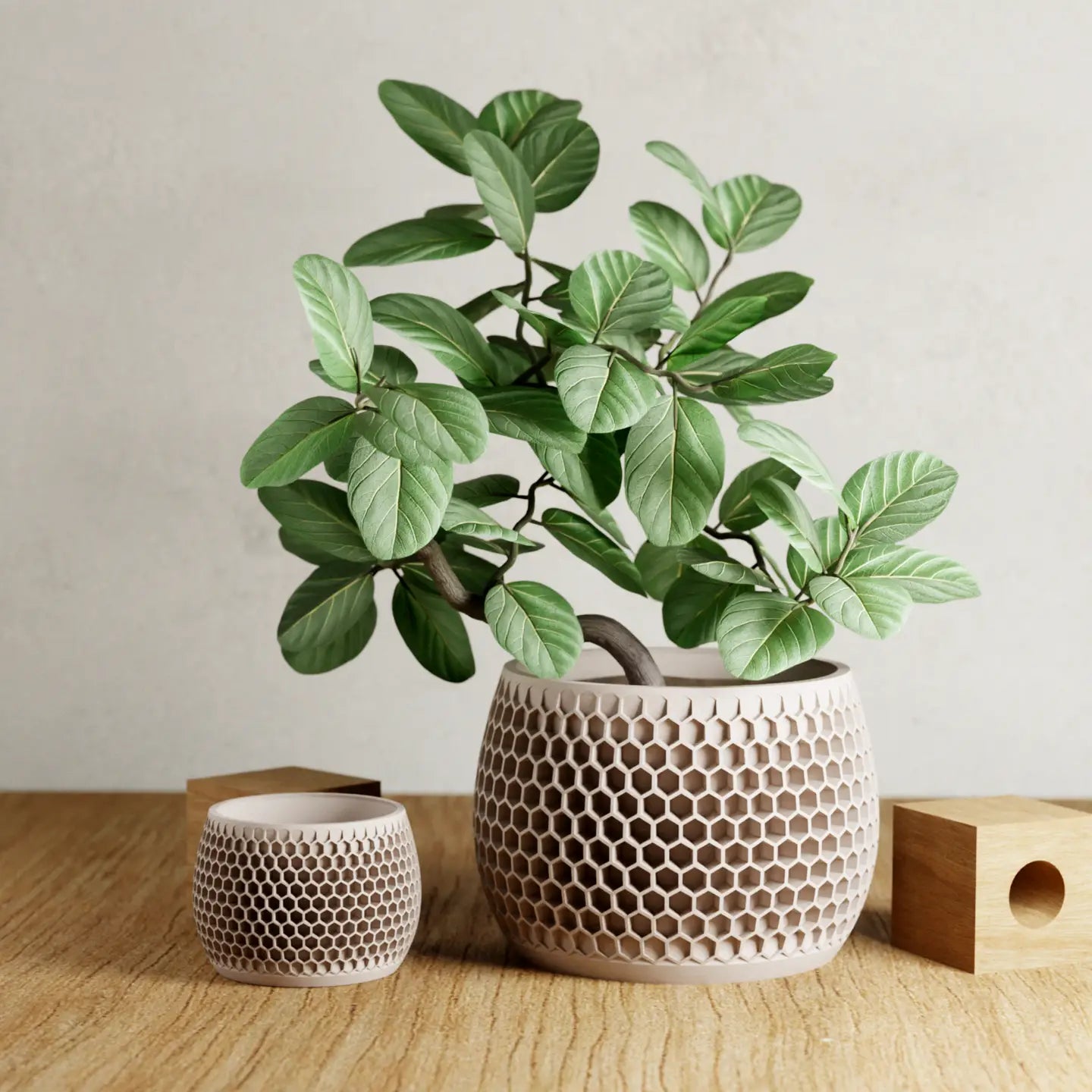 Honeycomb Planter